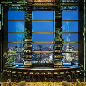 ***** Otel The Gallery Kioicho, A Luxury Collection Japonya